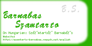 barnabas szamtarto business card